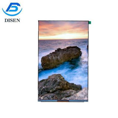 DS080INX31N-006-ኤ
